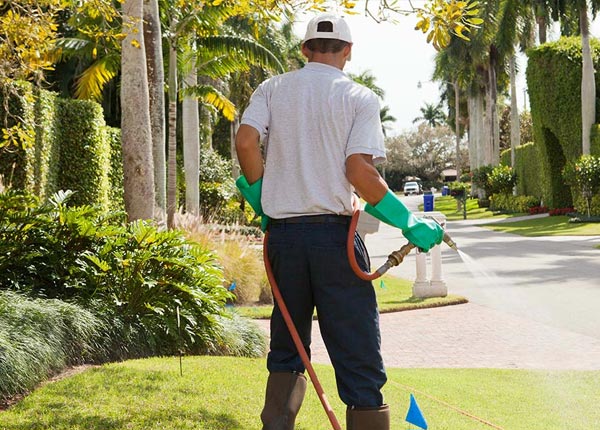 About Gays IL Pest Control